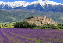Đắm mình trước vẻ đẹp thơ mộng đầy lãng mạn của vùng Provence nước Pháp