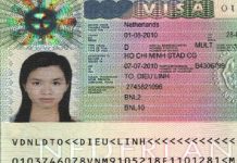 Dịch vụ làm visa Hà Lan nhanh chóng, uy tín – Cánh cửa đến châu Âu rộng mở visa Ha Lan